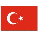 土耳其U19logo